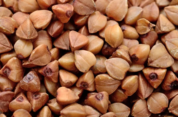 Group of brown buckwheat Stock Photo