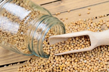 masada hardal tohumu