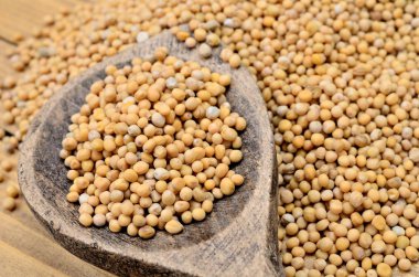 masada hardal tohumu