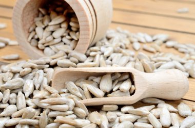 masada ayçiçeği tohumu