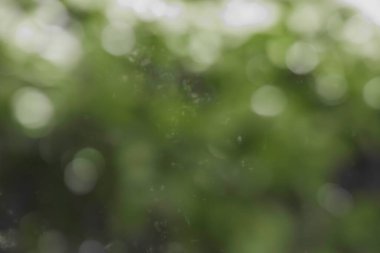 Bokeh arkaplanı, efektin tam renginde yeşil yapraklı doğa dairesi, uzay sanatıyla renklendirilmiş desen.