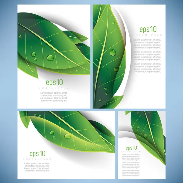 dört zarif yeşil kümesi öğeleri doğa ekoloji iş broşür Broşür arka plan tasarımı bırakır.