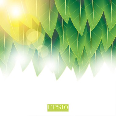 Yeşil örtüşen yaprakları ile hafif parlama kavramsal tasarım