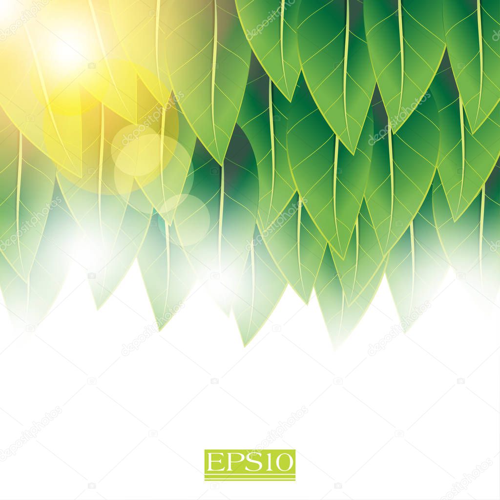 overlapping green leaves with light flare conceptual design