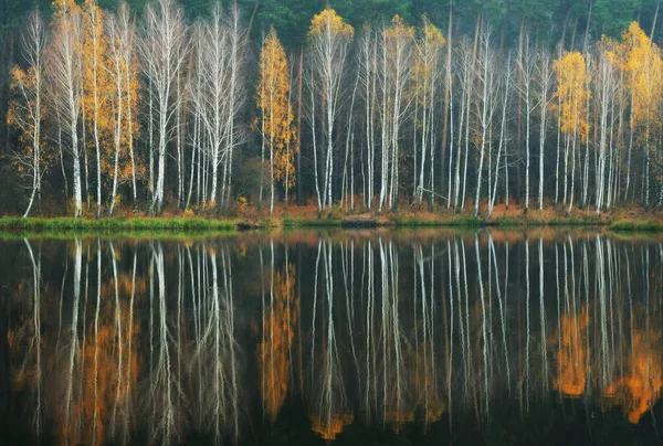 Colorful Autumn Reflection — Stock Photo, Image