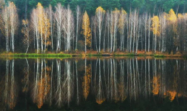 Réflexion d'automne colorée — Photo