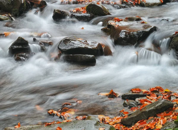 Wasserfall in Verwischung mit Blättern — Stockfoto