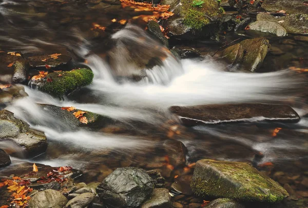 葉によるぼかしの滝 — ストック写真