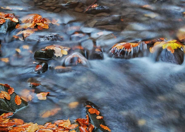 Cascada en desenfoque con hojas —  Fotos de Stock