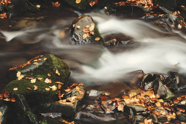 Wasserfall in Verwischung mit Blättern — Stockfoto