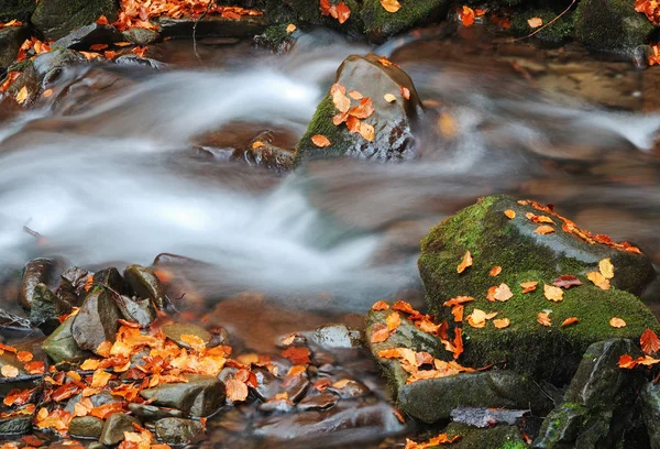 Waterfall in blurring with leaves Royalty Free Stock Images