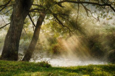 güneşli puslu sabah