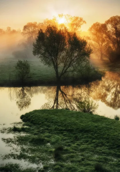Sunny misty morning — Stock Photo, Image