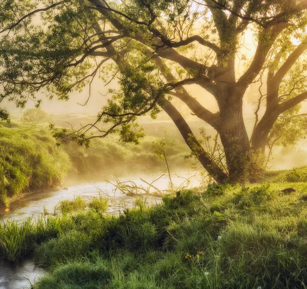 güneşli puslu sabah