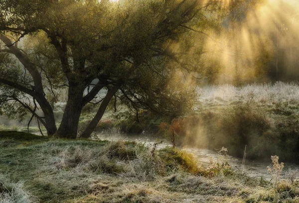 Солнечное туманное утро — стоковое фото