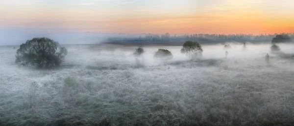 Höstens dimmiga morgon — Stockfoto