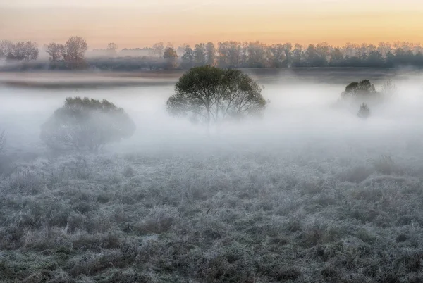 Осінній Туманний ранковий — стокове фото