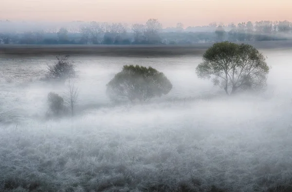 sisli sonbahar sabahı