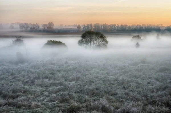 Höstens dimmiga morgon — Stockfoto