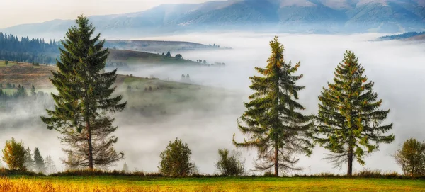 Nebliger Herbstmorgen — Stockfoto