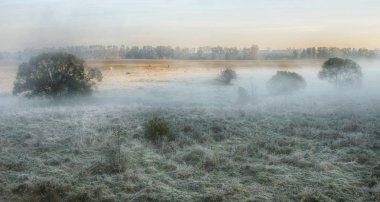 Sisli sonbahar sabahı