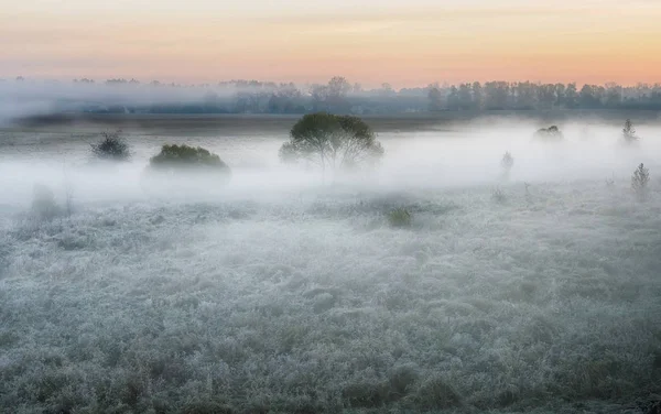 Sisli sonbahar sabahı