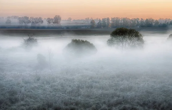 Nebliger Herbstmorgen — Stockfoto