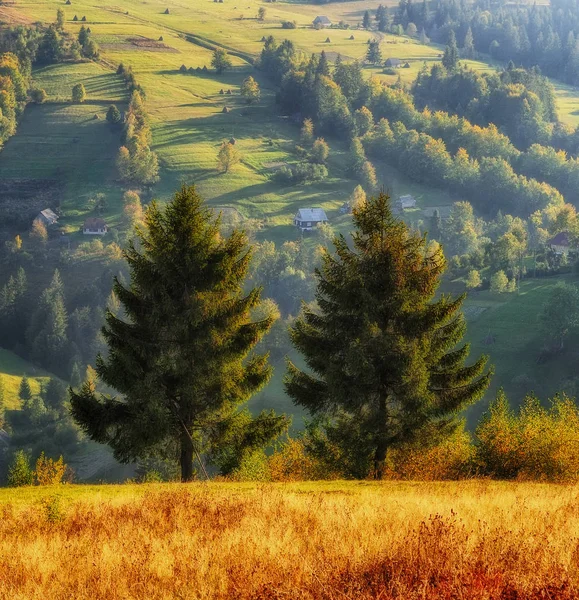 Herbstabend in den Karpaten — Stockfoto