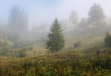 Karpatlar sonbahar akşam