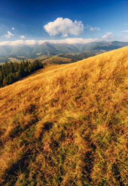 sisli sonbahar sabahı