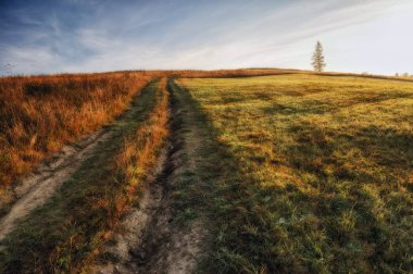 sisli sonbahar sabahı