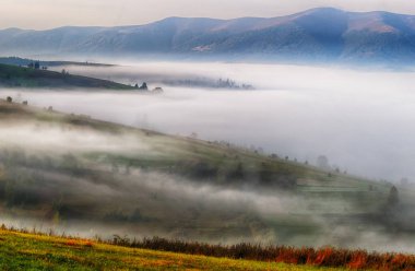 sisli sonbahar sabahı