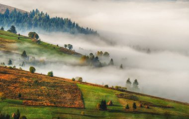 sisli sonbahar sabahı