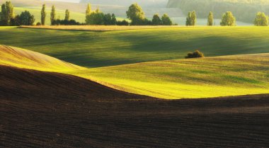Sonbahar tepelik alanı