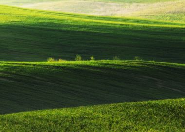 Bahar tepelik alanı