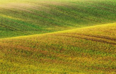 Bahar tepelik alanı