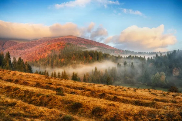 Herfst mistige ochtend — Stockfoto