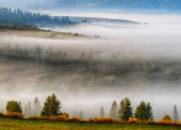 Nebliger Herbstmorgen — Stockfoto