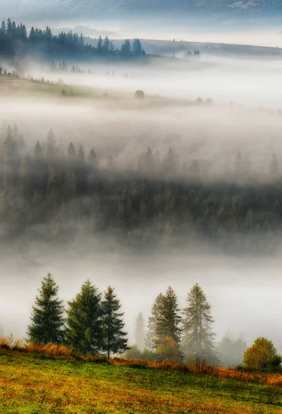 Mistige ochtend van de herfst — Stockfoto