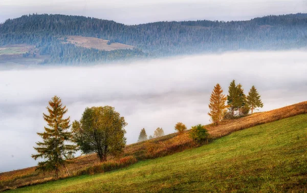 Mlhavé podzimní ráno — Stock fotografie