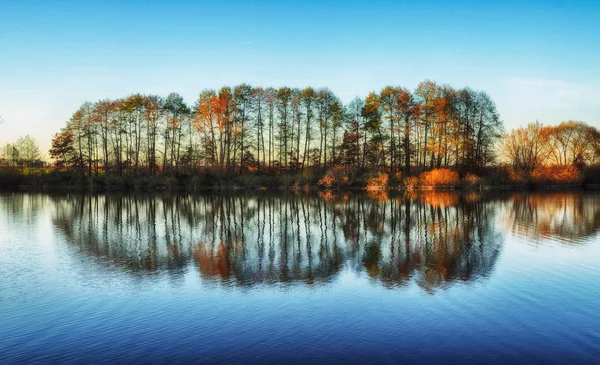 Reflejo de los árboles en el agua — Foto de Stock