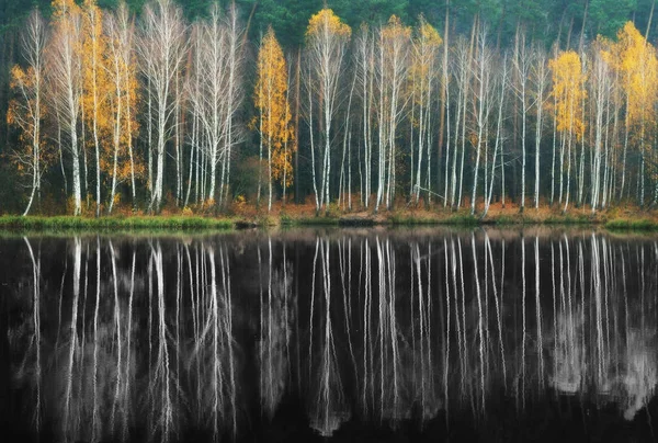 Reflexión de los árboles en el agua — Foto de Stock