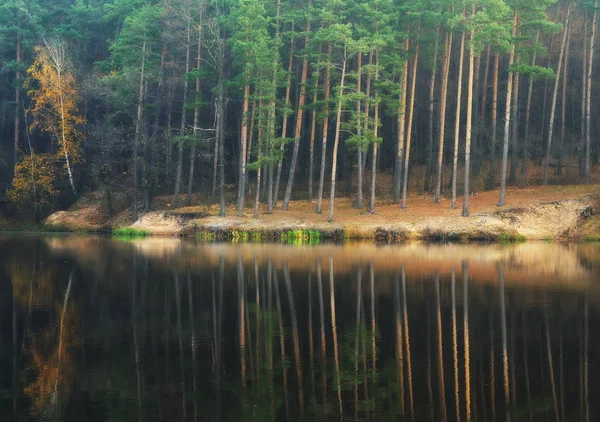 Spiegelung der Bäume im Wasser — Stockfoto