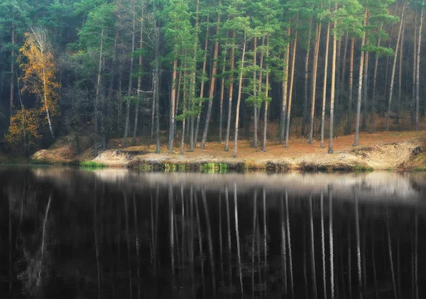 Reflexion von Bäumen im Wasser — Stockfoto