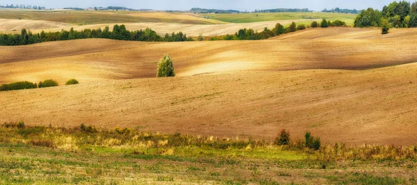 Hösten kuperade fält — Stockfoto