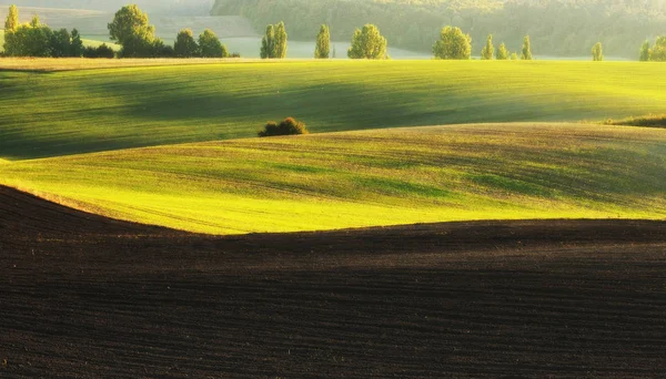 Outono campo montanhoso — Fotografia de Stock