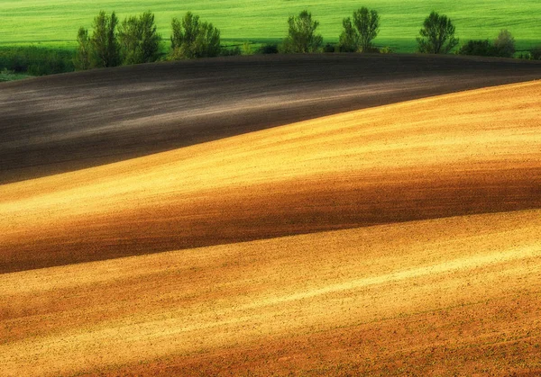 Na jaře kopcovité oblasti — Stock fotografie