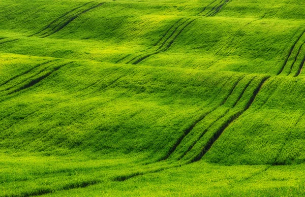 春丘陵田 — 图库照片