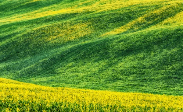 Pagórkowaty pole wiosną — Zdjęcie stockowe