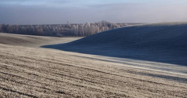 Vinter kuperade fält — Stockfoto